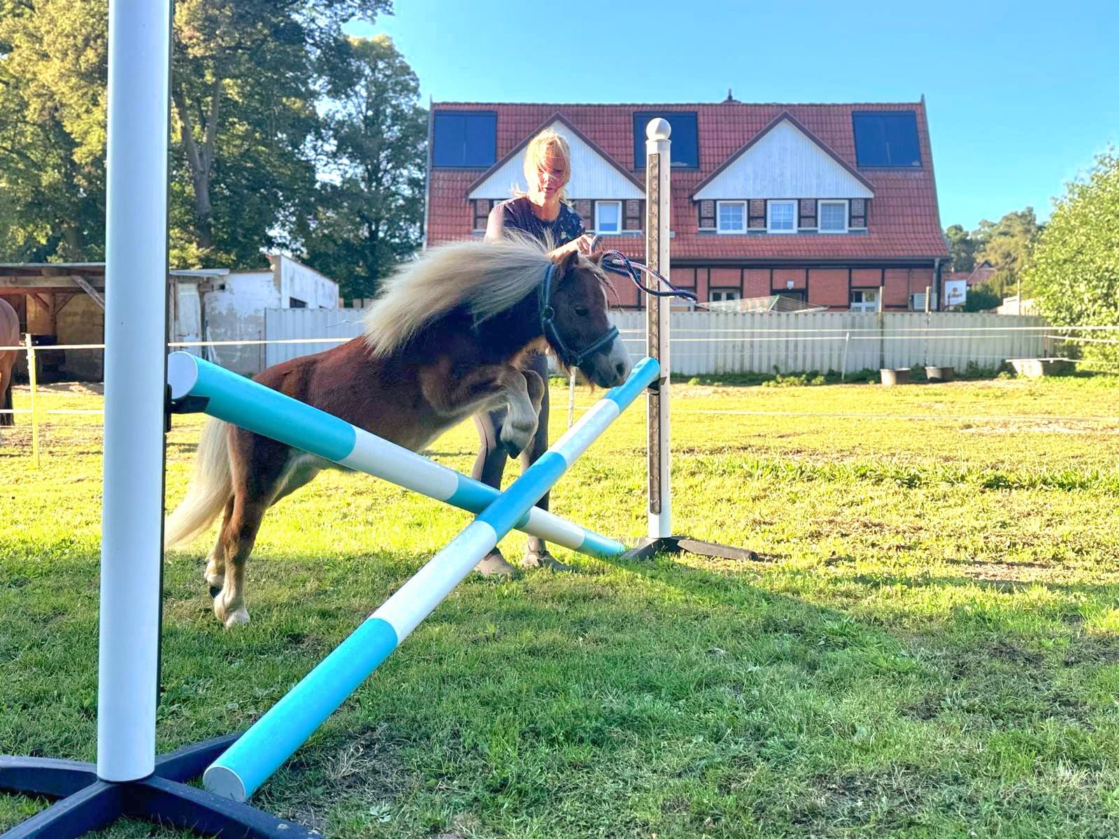 Sport und Spiel