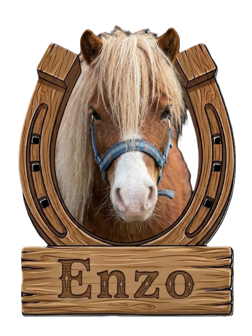 Enzo