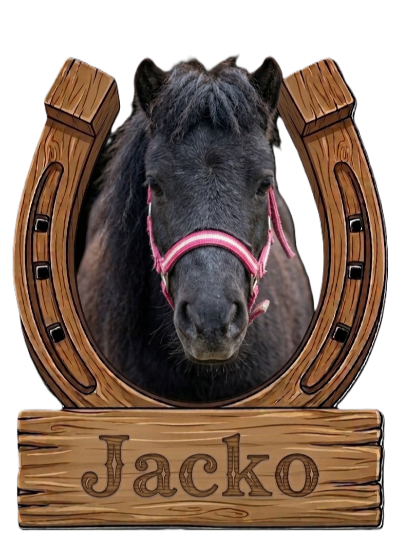 jacko