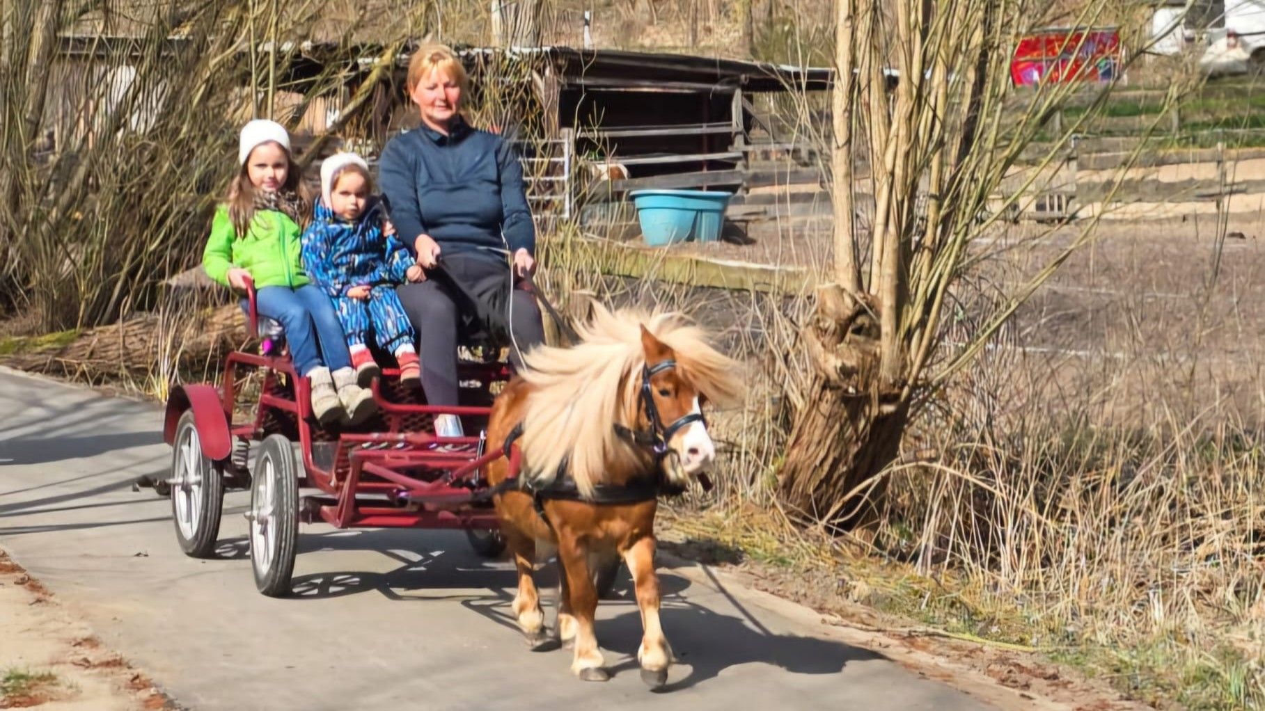 Kutschfahrten