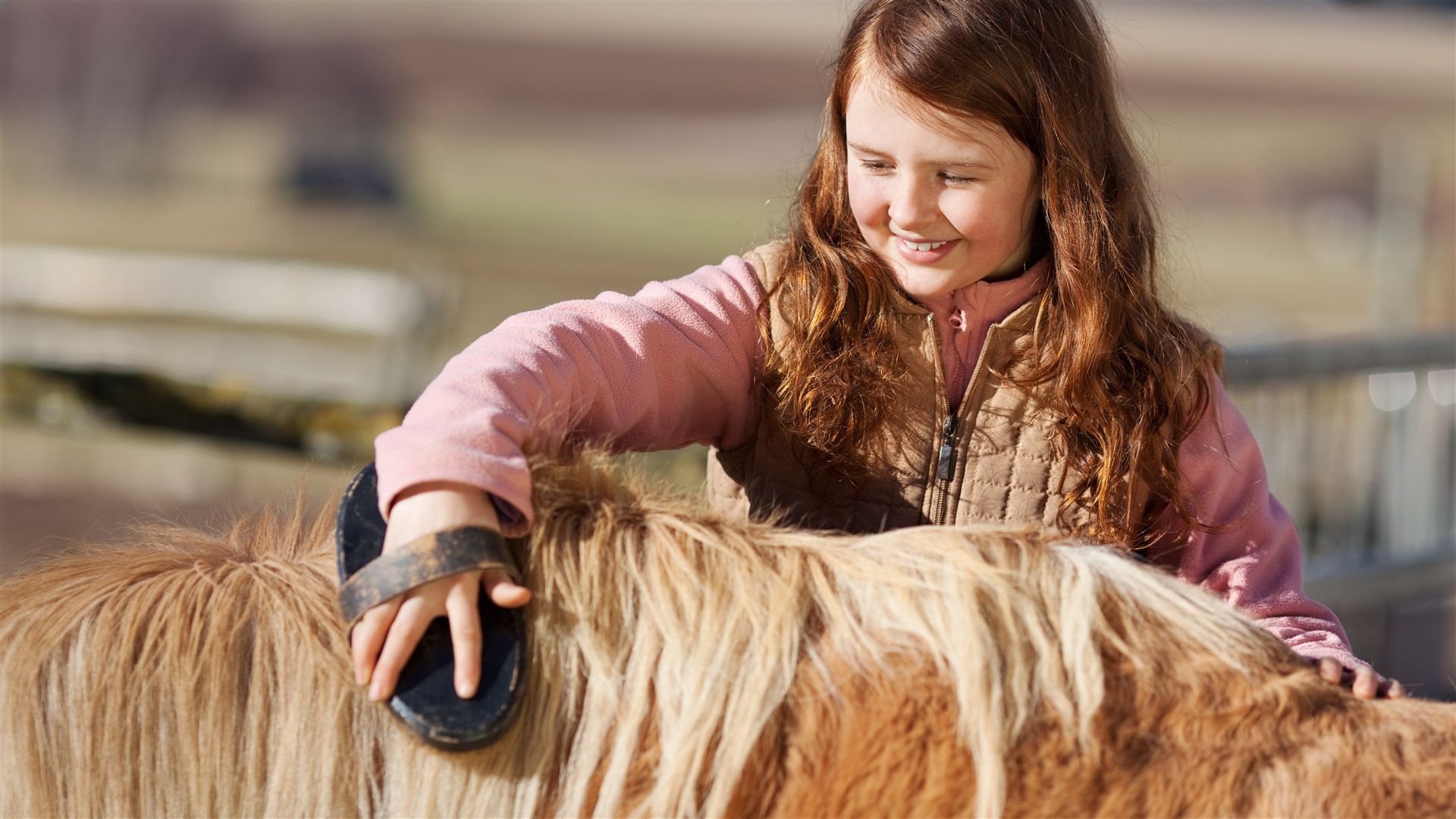 Ponypflege